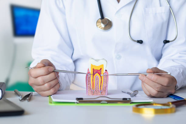 Best Emergency Dental Care for Abscessed Tooth in Bonnie Brae, IL